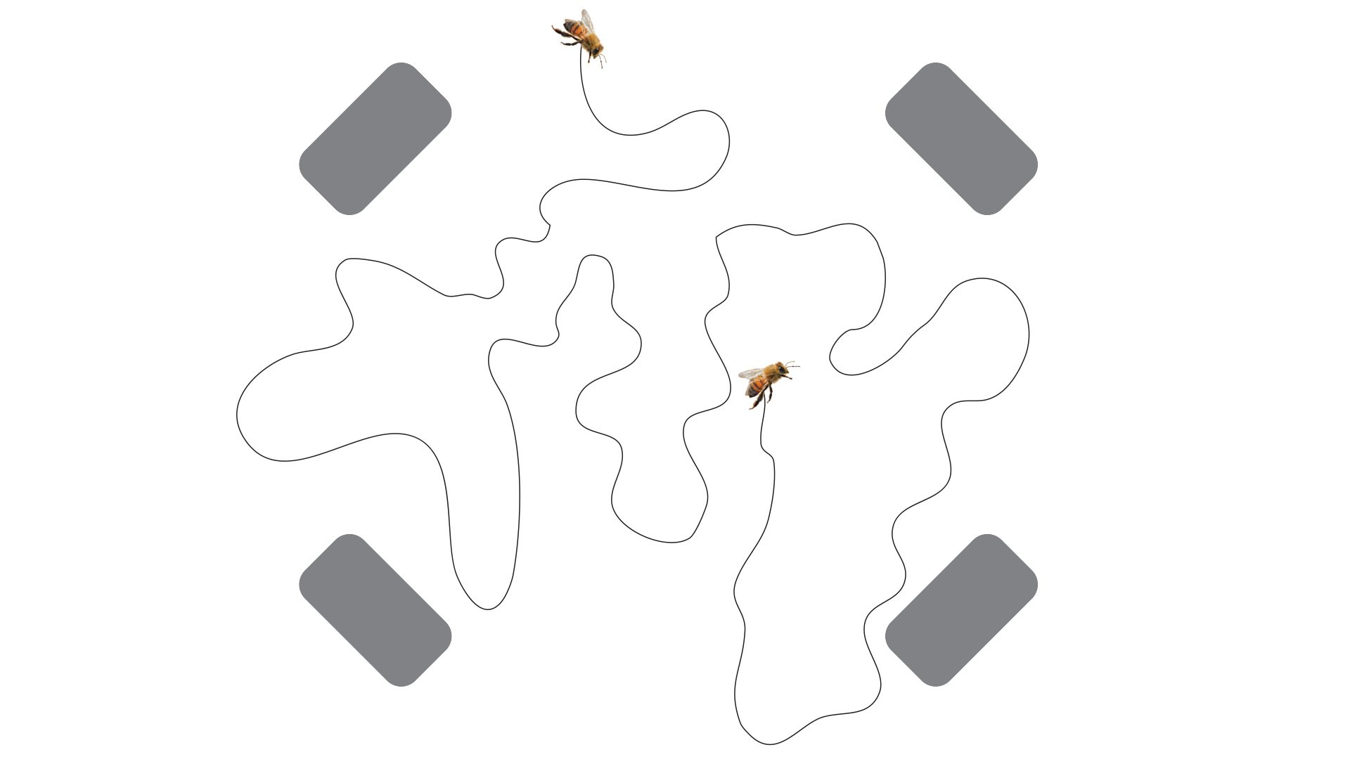 THE SOUND WAVE MOTION OF A BEE WITH TRUE2LIFE SPATIAL SOUND